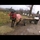 Romania Rural Life 1