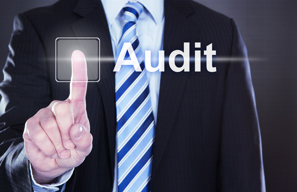 Audit and inspections Havem