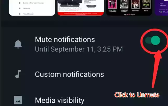 click to unmute notification on whatsapp