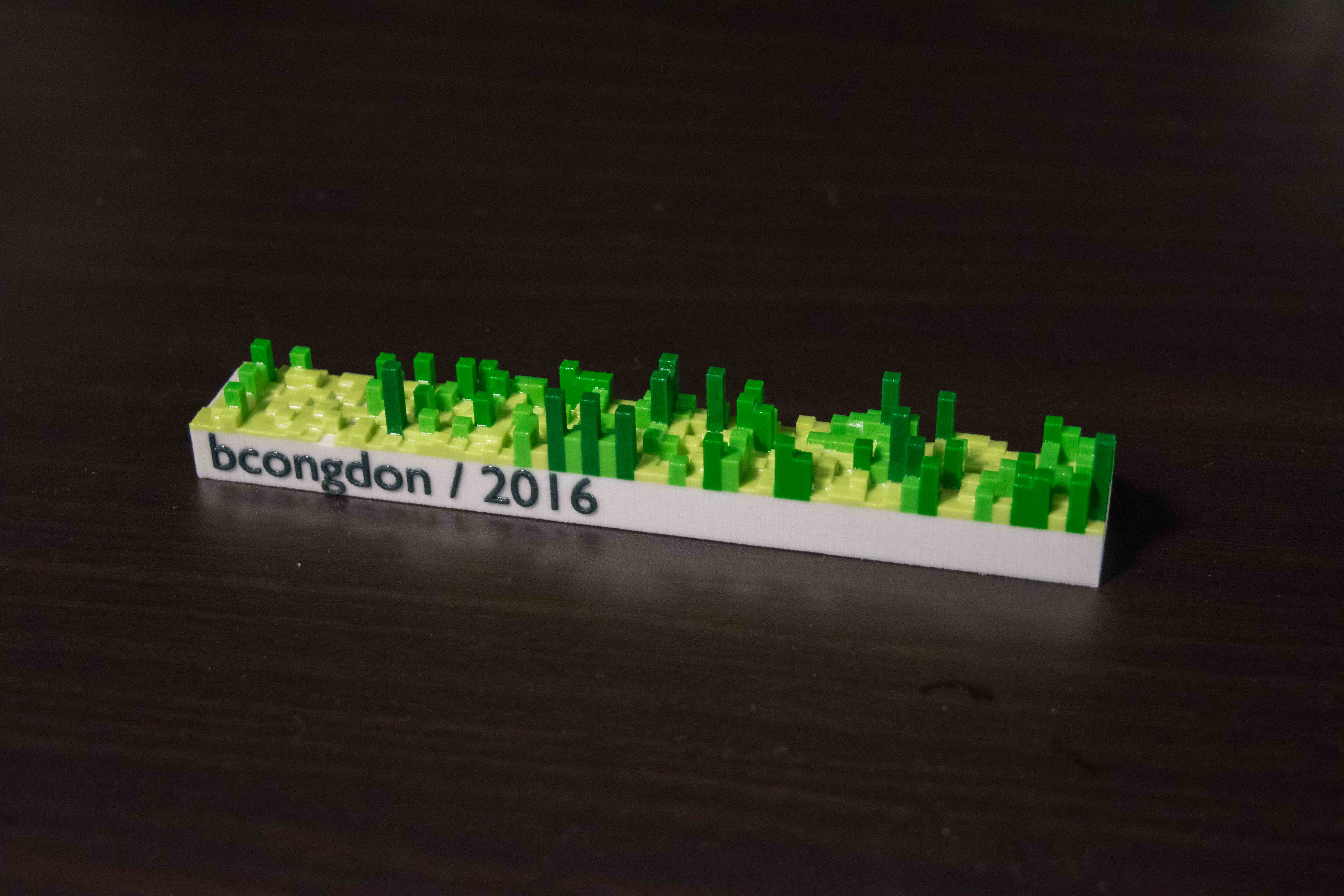 Printed 3d Model of My 2016 Github Contributions