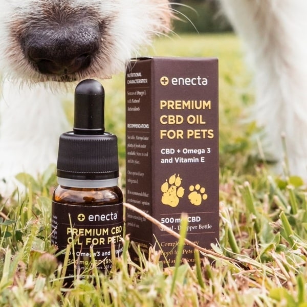 View Can Dogs Overdose On Cbd Oil Pics