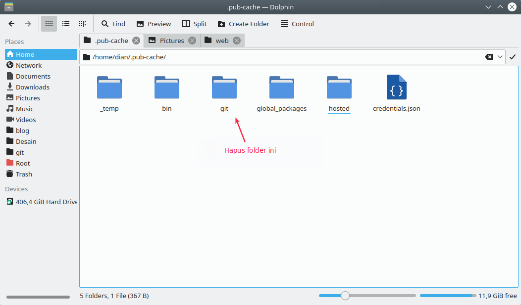 Folder git dalam pub cache