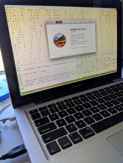 The About this Mac window on my 2010 MacBook Pro