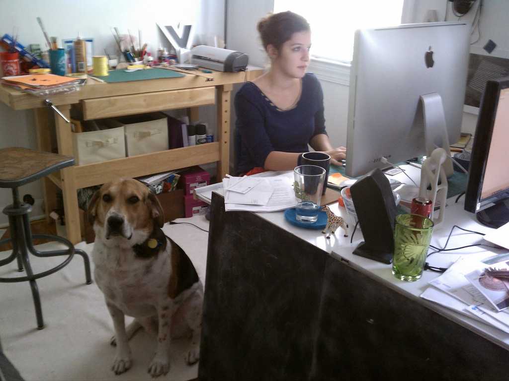 girl working with dog next to her