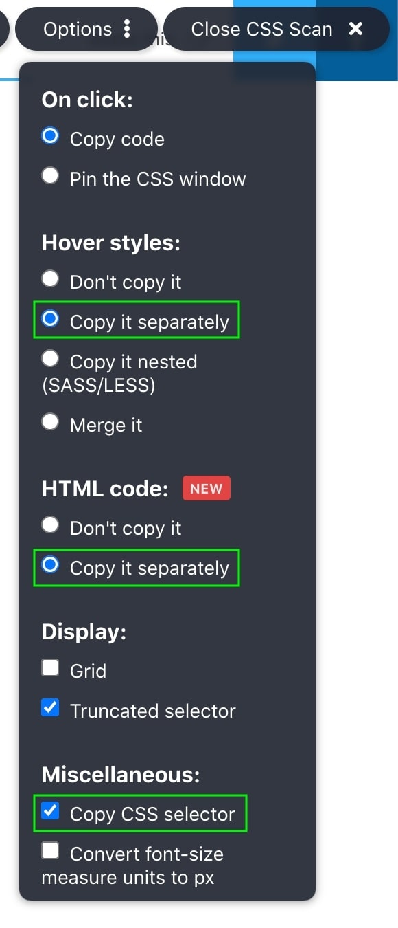 CSS Scan options