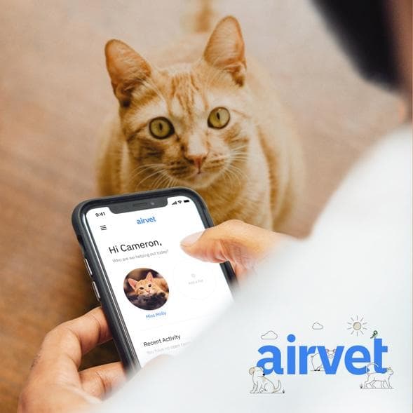 airvet promo image