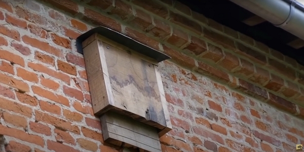 Nichoir avec toit en métal sur un mur en brique