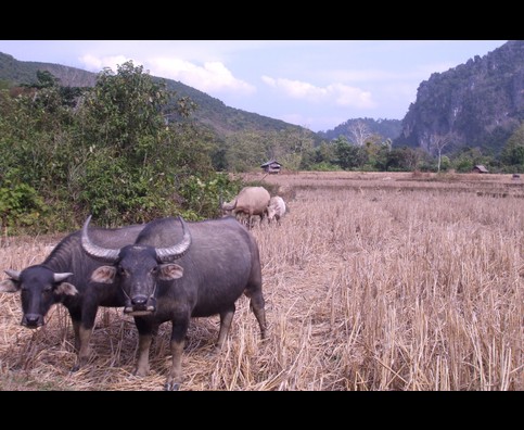 Laos Muang Ngoi Trekking 3