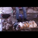 China Yunnan Butchers 14