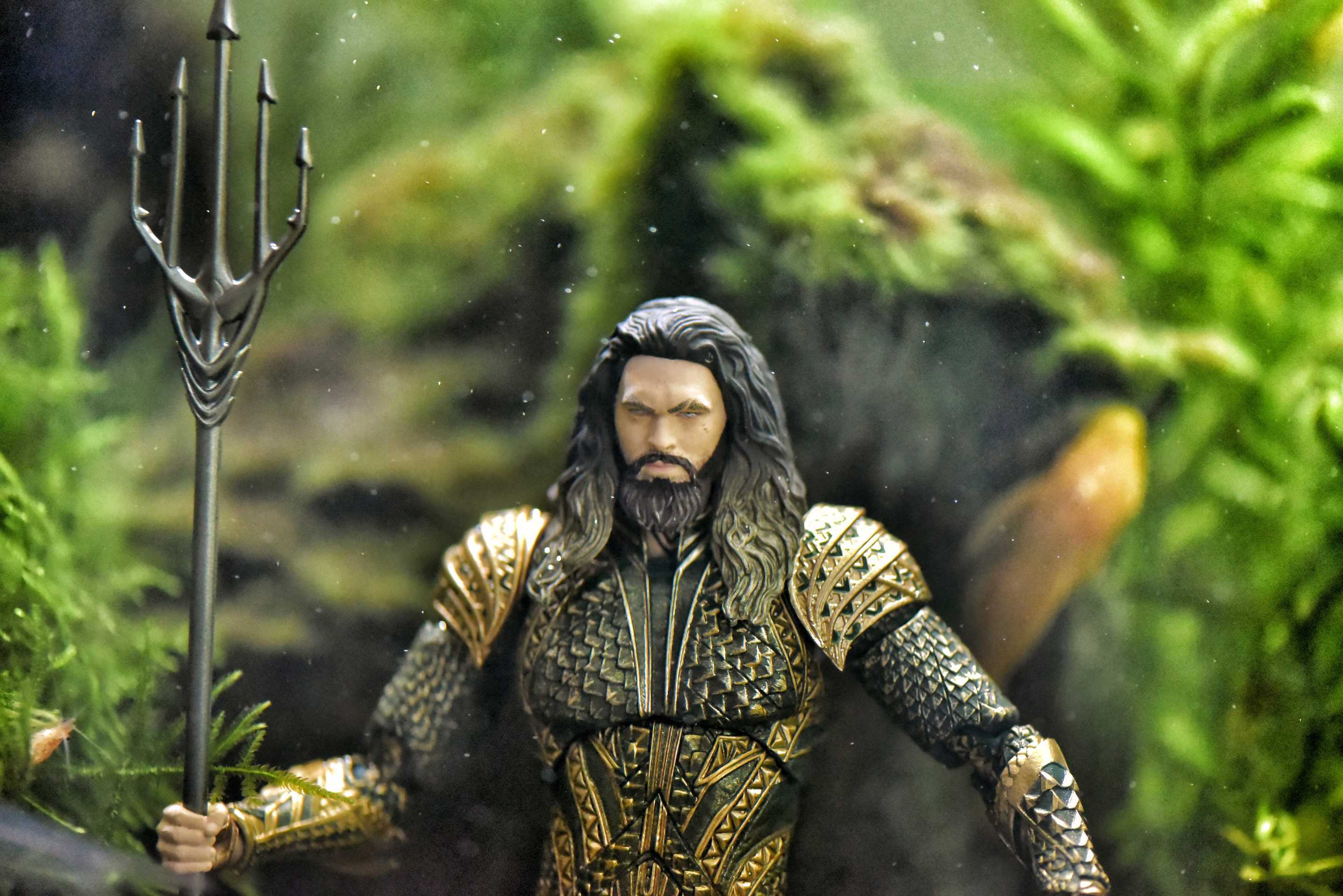 Aquaman In Fish Tank