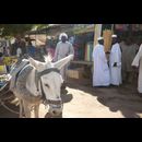 Sudan Dongola 9