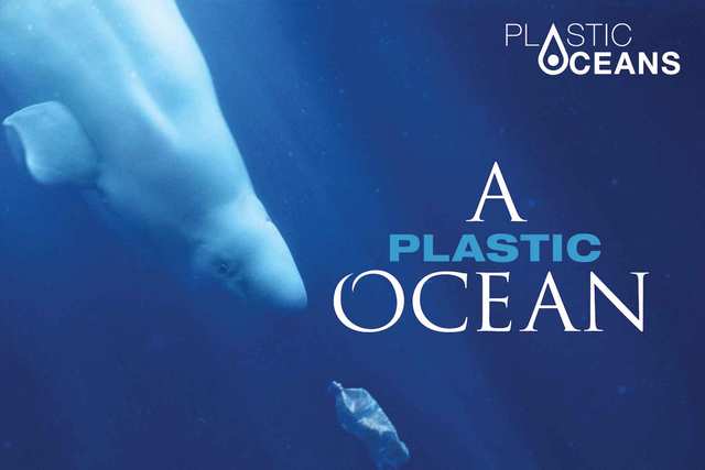 Rethink Plastic - A movement to raise awareness of plastic pollution and the existing solutions. Movies, education, and government pressure.