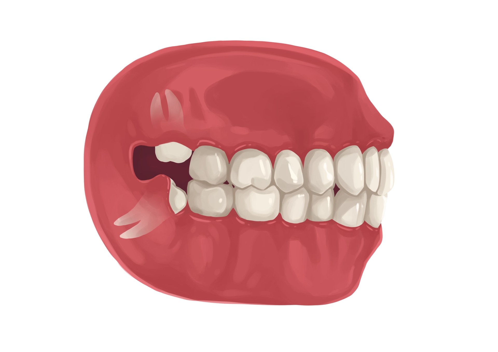 dental-costs-prices