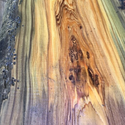 sinker cypress wood texture