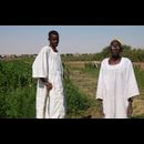Sudan Nile Oasis 2