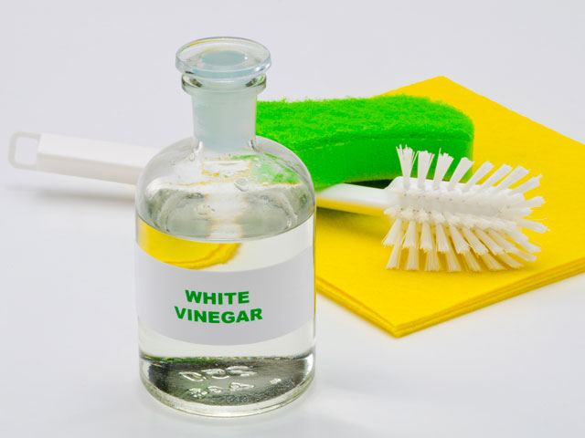 A bottle of vinegar with a scrub brush, sponge and cloth ready to clean out mold