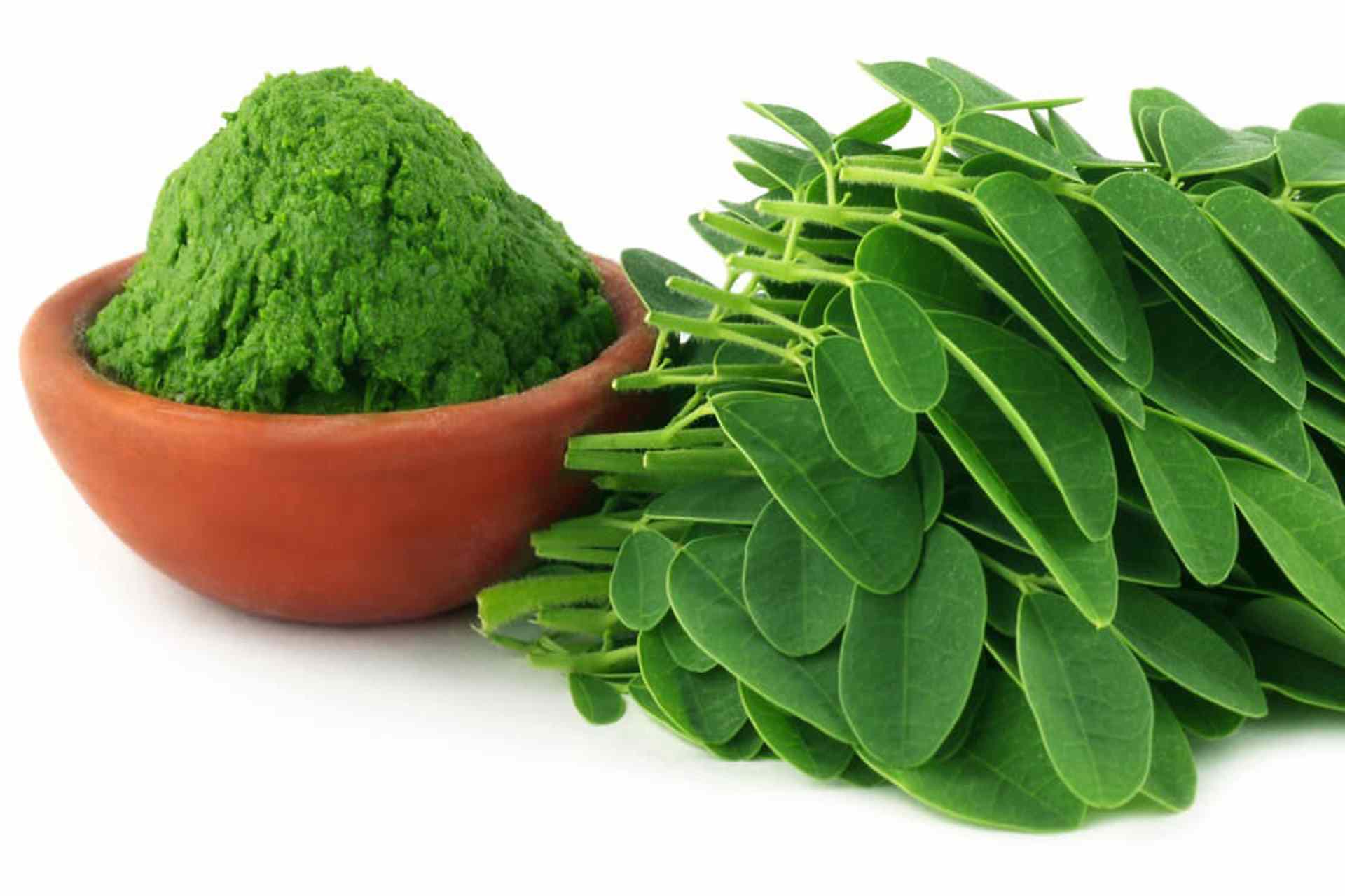 Moringa is available in powder and is consumed raw added to salads and shakes