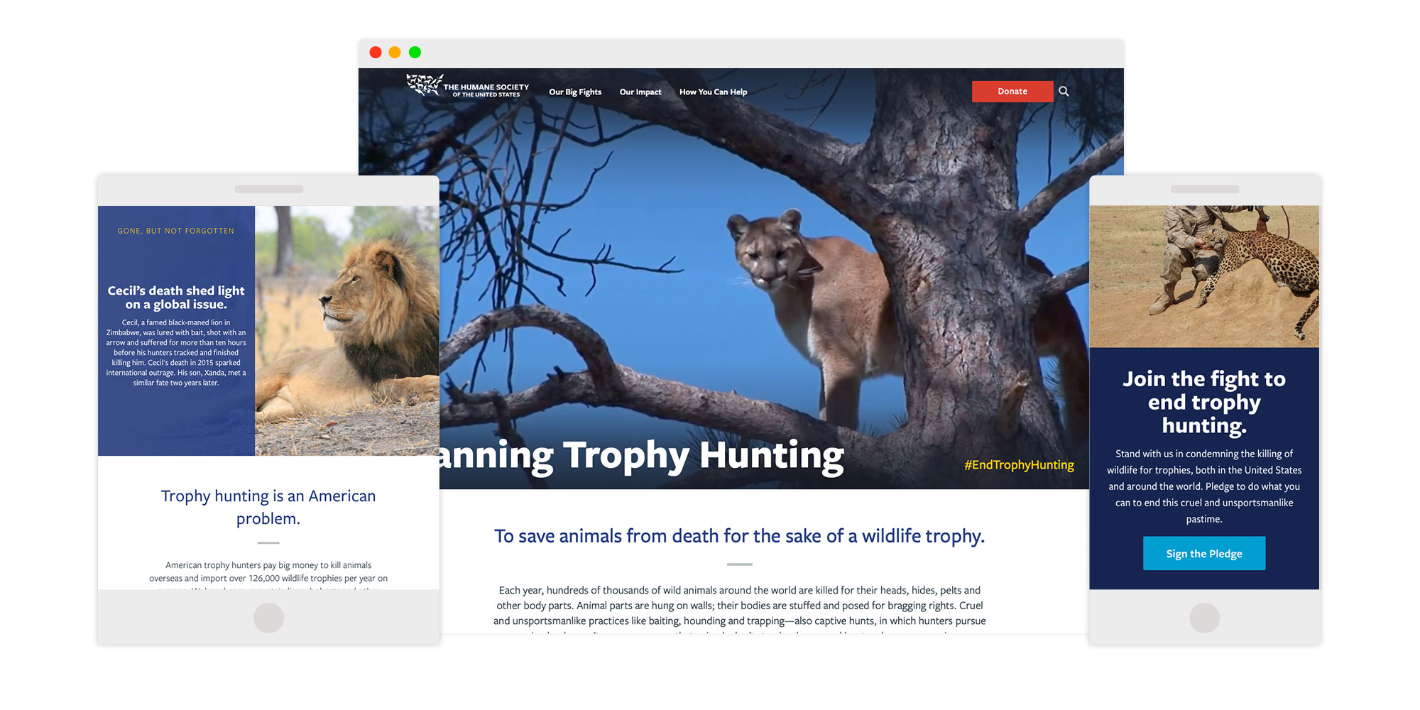 Ban Trophy Hunting