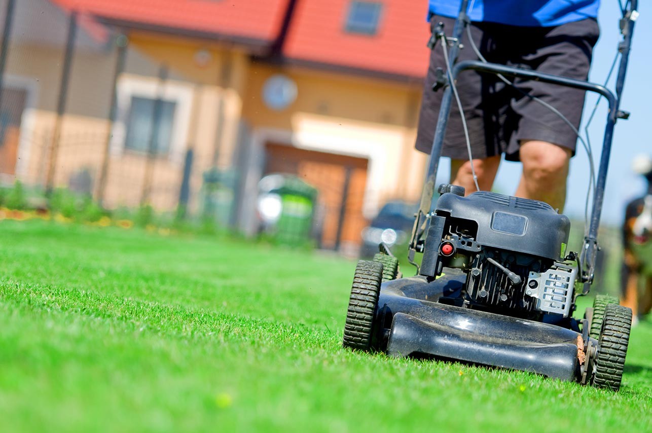 Lawn mowing and lawn care from one of our landscapers