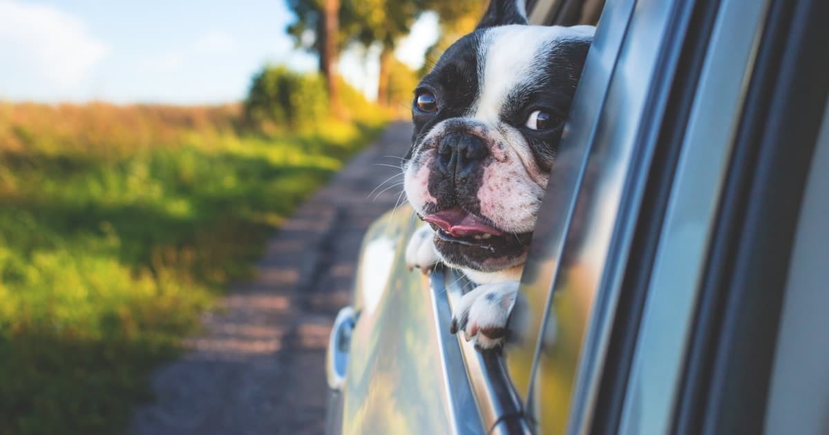 Why Should You Update Your Auto Insurance Policy?