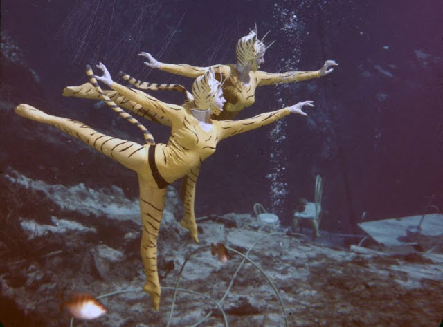 women dressed as tigers underwater