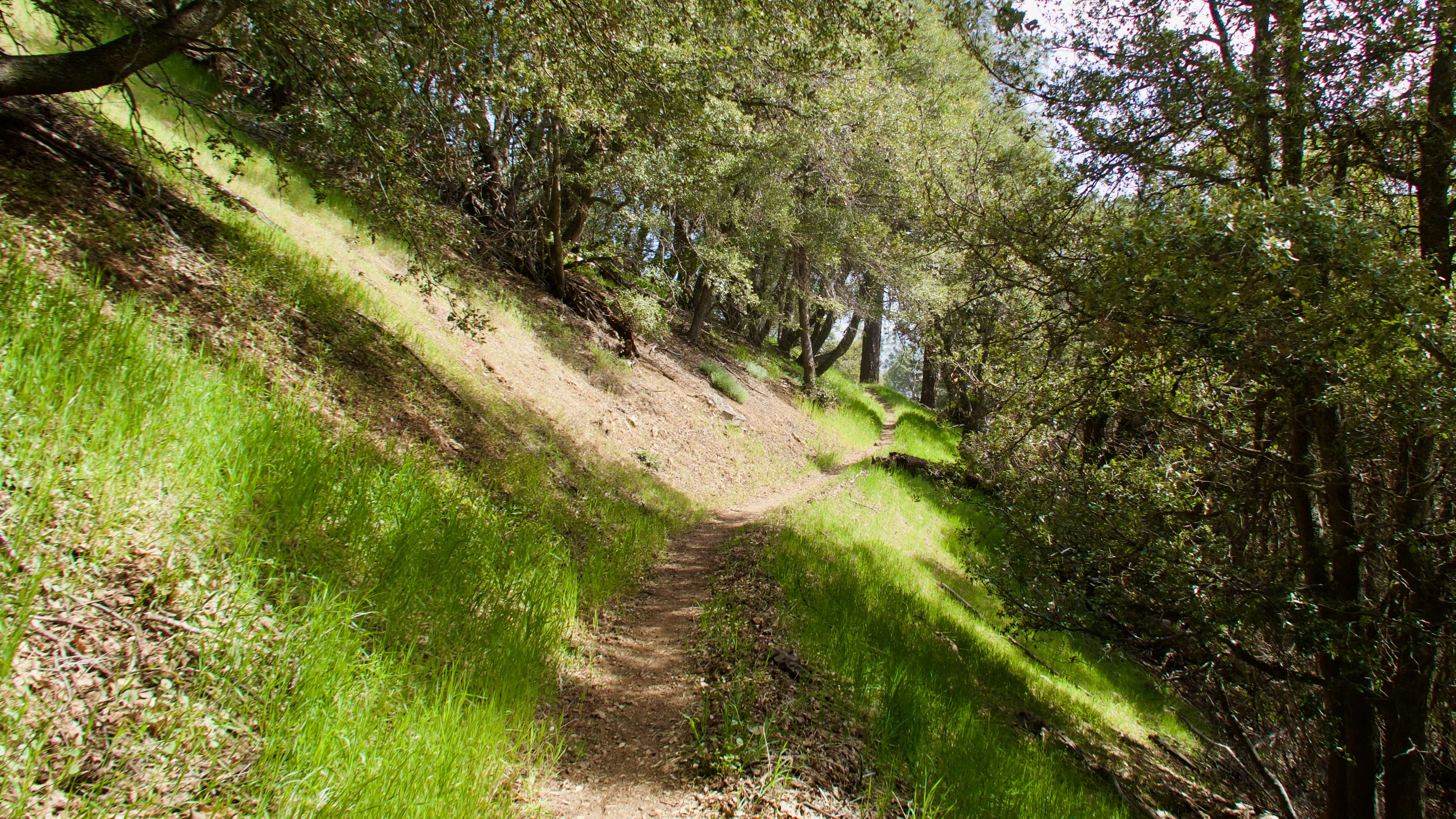 PCT 2019: Day 40, Tentsite at Maxwell Road to Horse Trail Camp | Hike ...