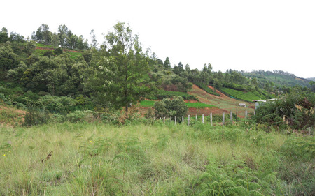 GATED COMMUNITY WITH COUNTRYSIDE VIEWS