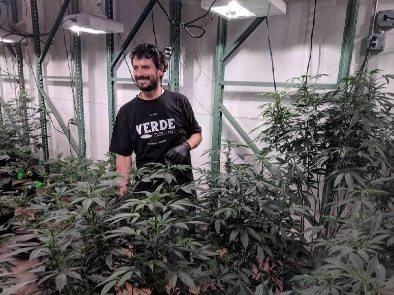 Cannabis Jobs Growing and Cultivation Jobs
