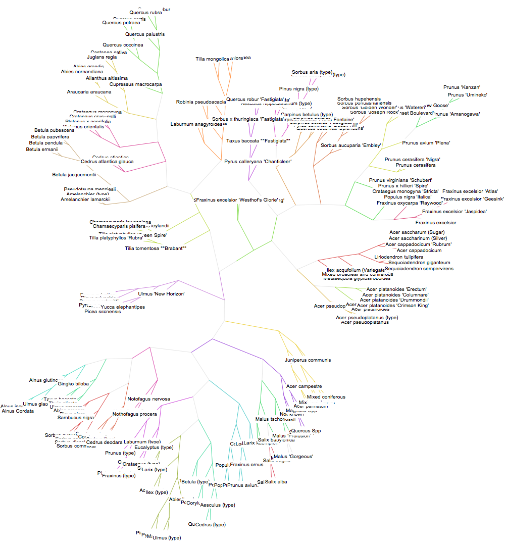 cluster tree 2