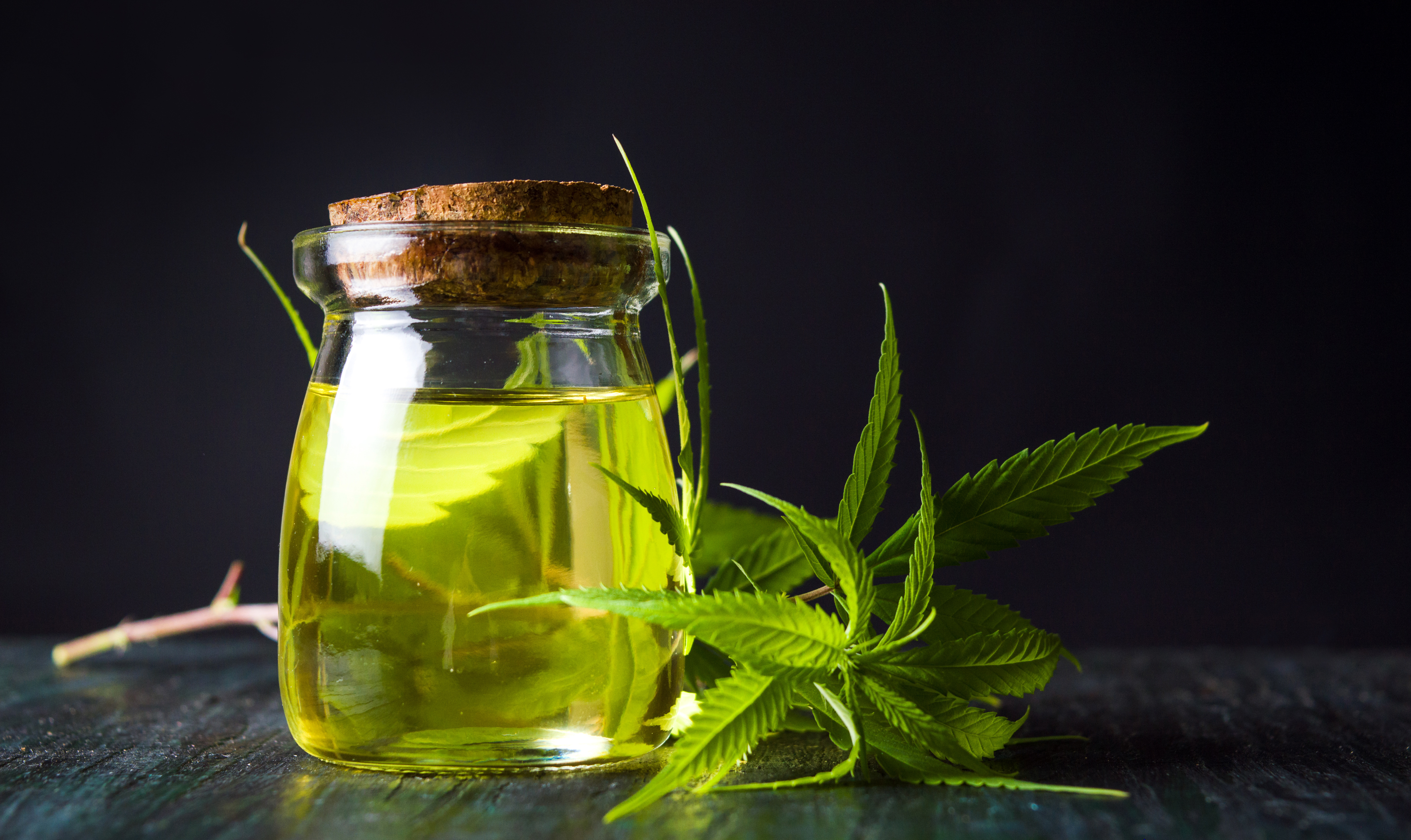 Cannabis Oil & Leaves Cannabis Oil & Leaves