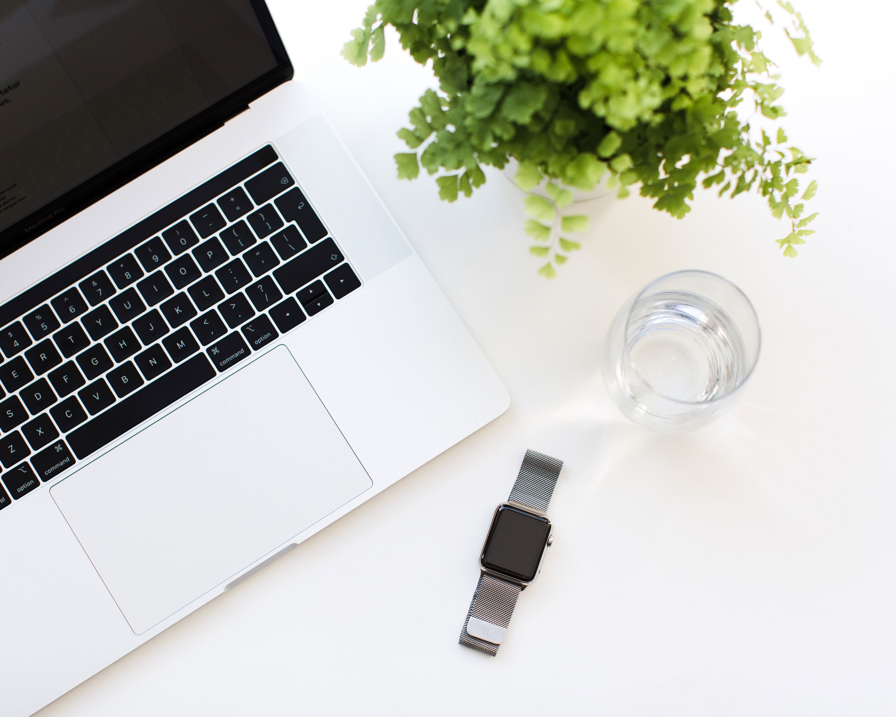 Flat lay of the desk of Jack Watkins, with MacBook, maidenhair fern, glass of water and Apple Watch