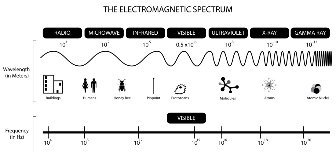 20-02-04-how-do-we-use-electromagnetic-waves-to-cook-food