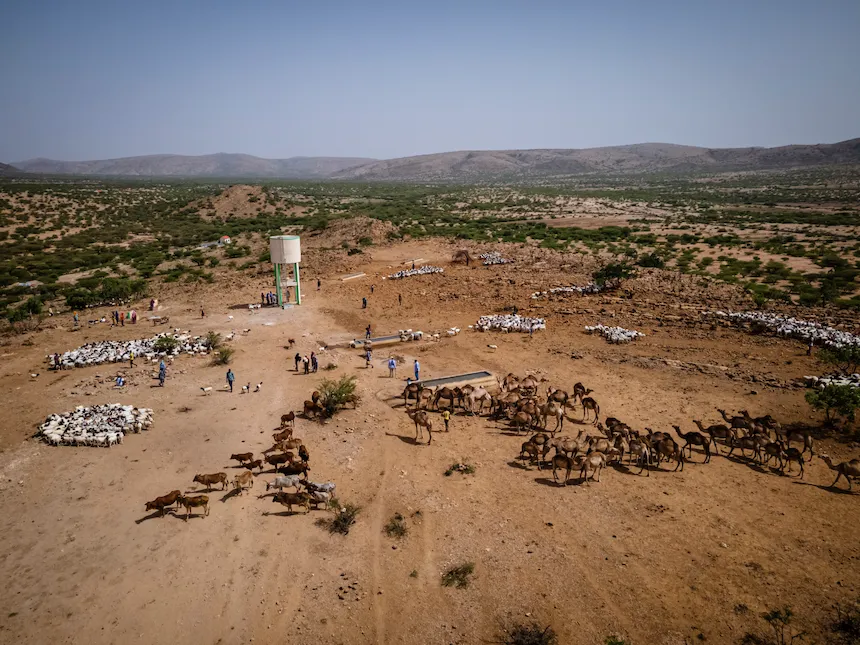 A community borehole with livestock, seen from the air in Somaliland