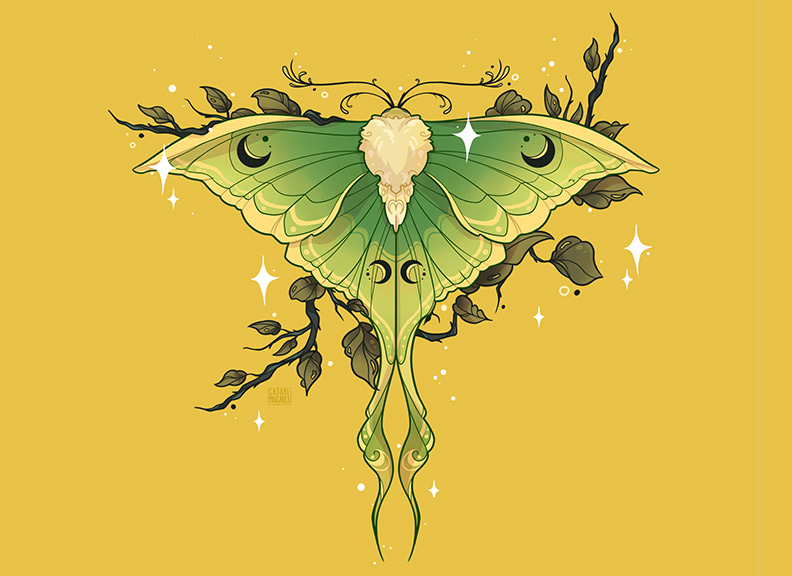 An-illustration-of-a-luna-moth-witchy-print-available-on-Redbubble