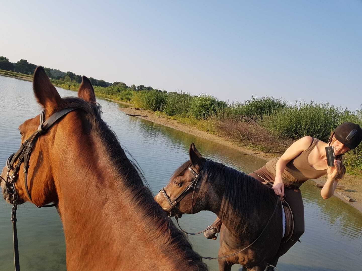 Horse back-riding Horse back-riding