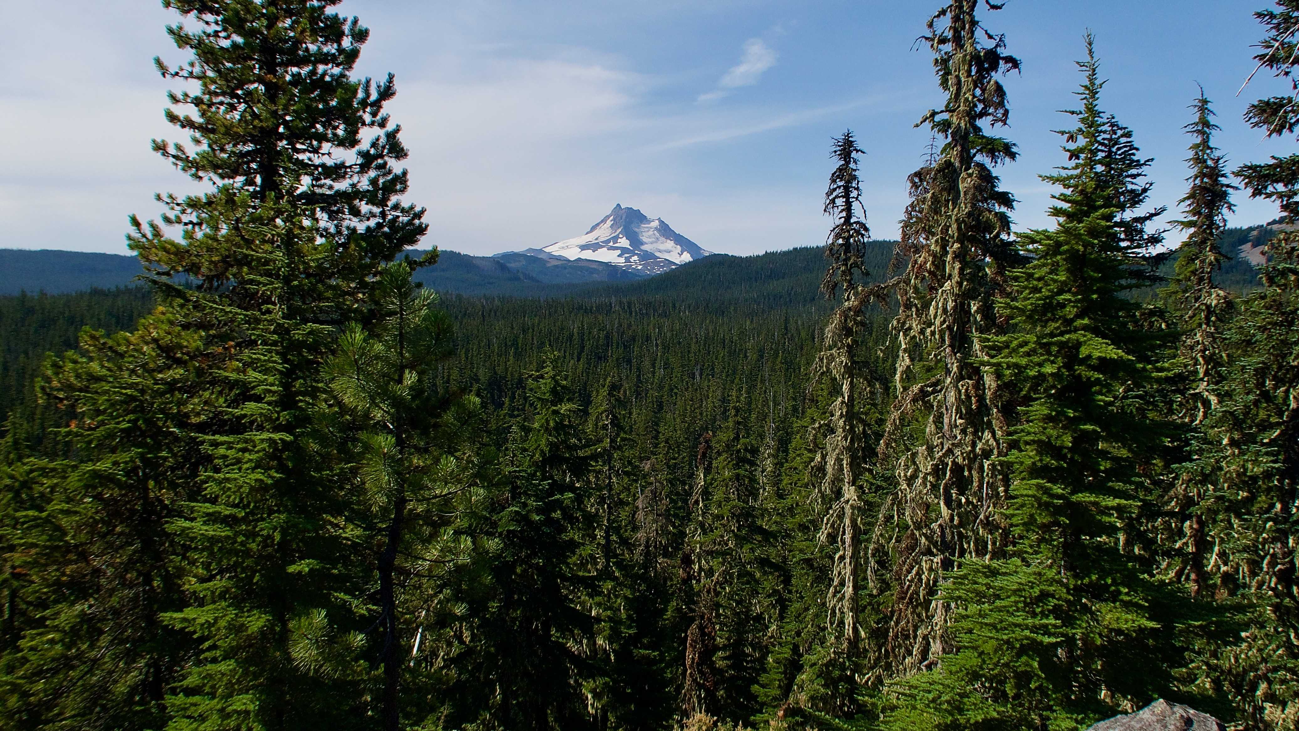 PCT 2019 Day 95, Jude Lake to Tentsite at Mile 2029.9 Hike with Gravity