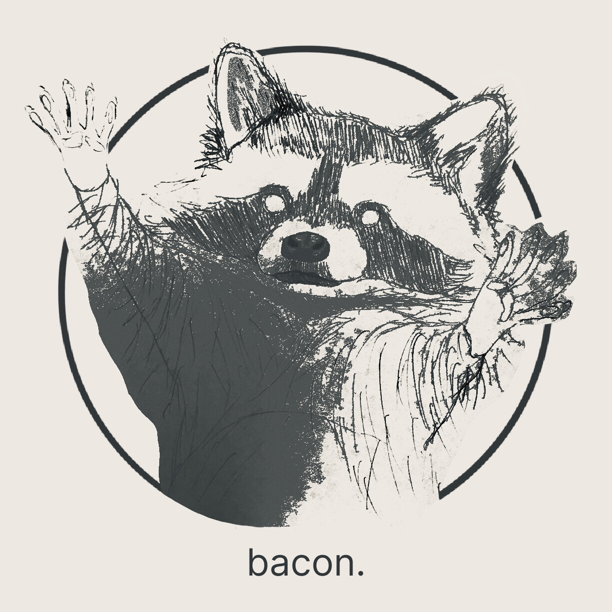 raccoon tshirt design