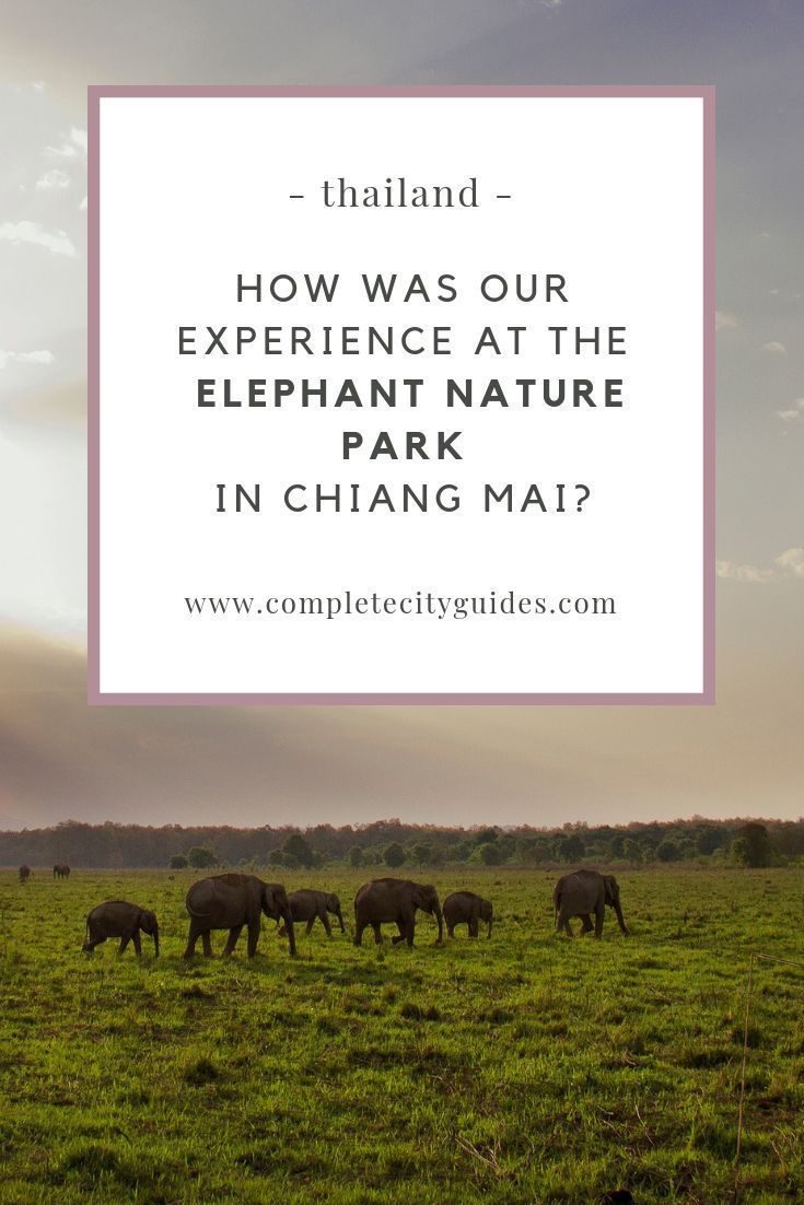 Elephant Nature Park - Ethically See Elephants in Chiang Mai (And What Really Goes On There)
