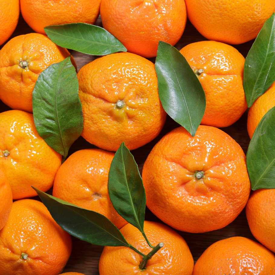 prodotti-greci-mandarini-chios-bio-1500g