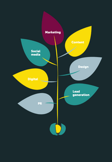 Nick East Web Developer