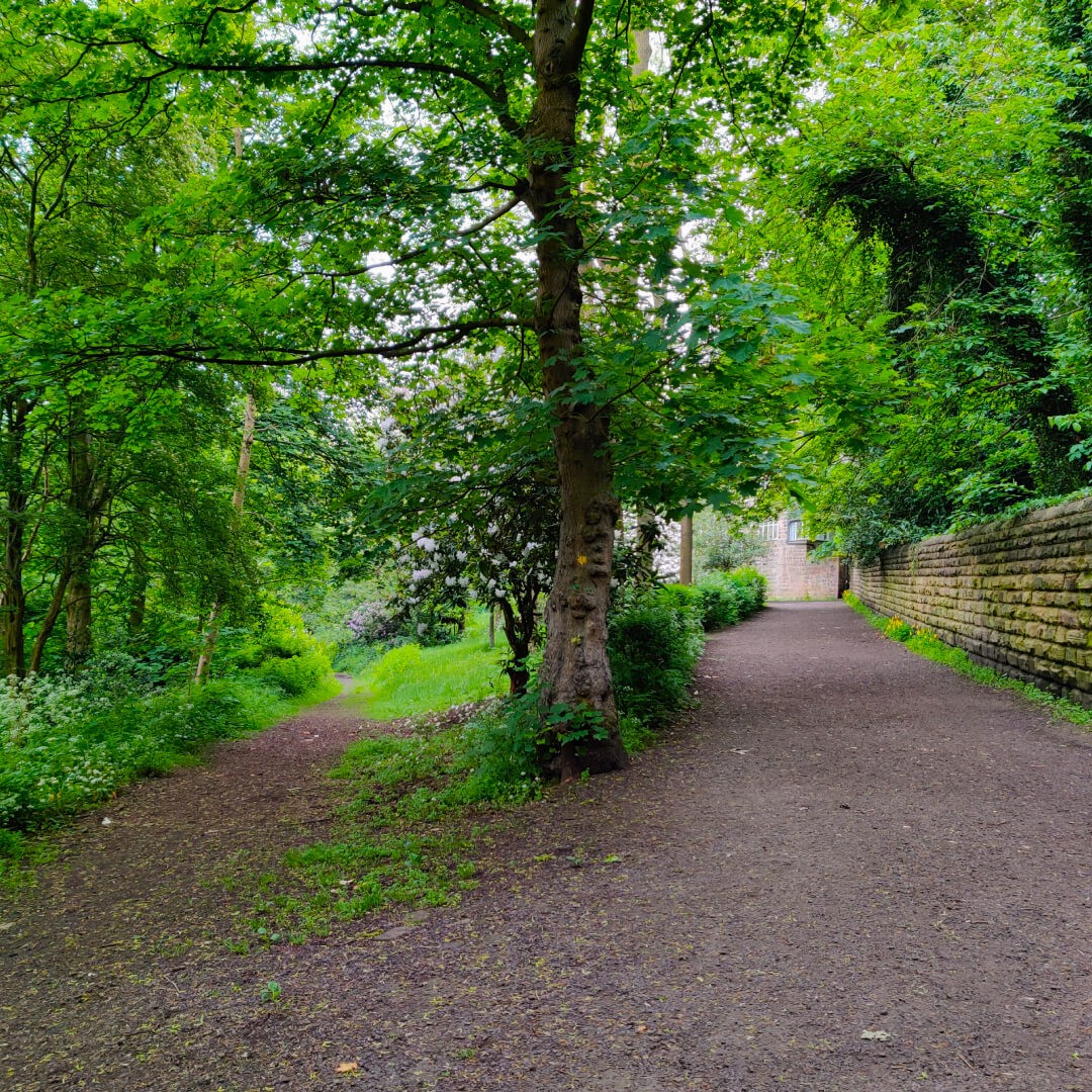 Meanwood Valley Local Nature Reserve path at Woodhouse Ridge