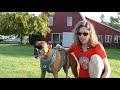Kurgo Running Team: Julia and Delta (VIDEO)