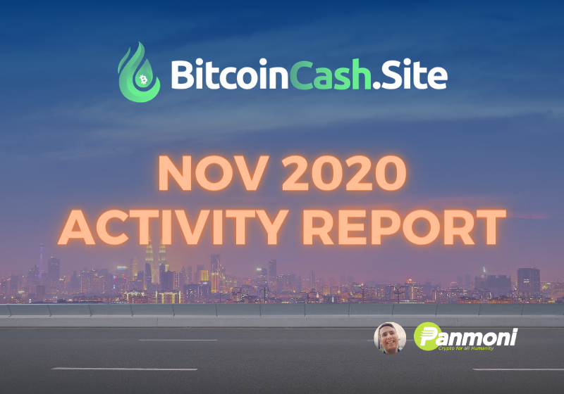 BitcoinCash.Site Nov 2020 Activity Report