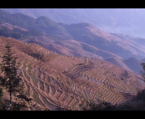 China Rice Terraces 6
