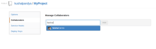 GitHub Collaborators
