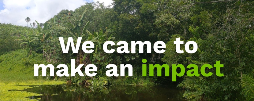 Our Impact Report: From 0 to 400,000 trees