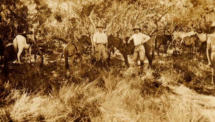 “Strong as horses and keen as mustard”: Jack Fawcett and his best friend, Raleigh Rimell, on the 1925 expedition.