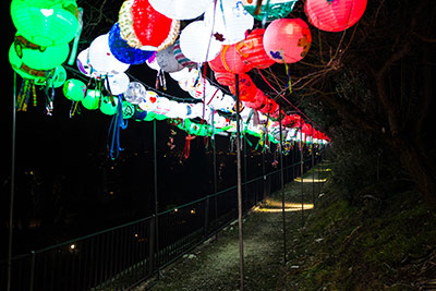 Installazione Cidneon 2019