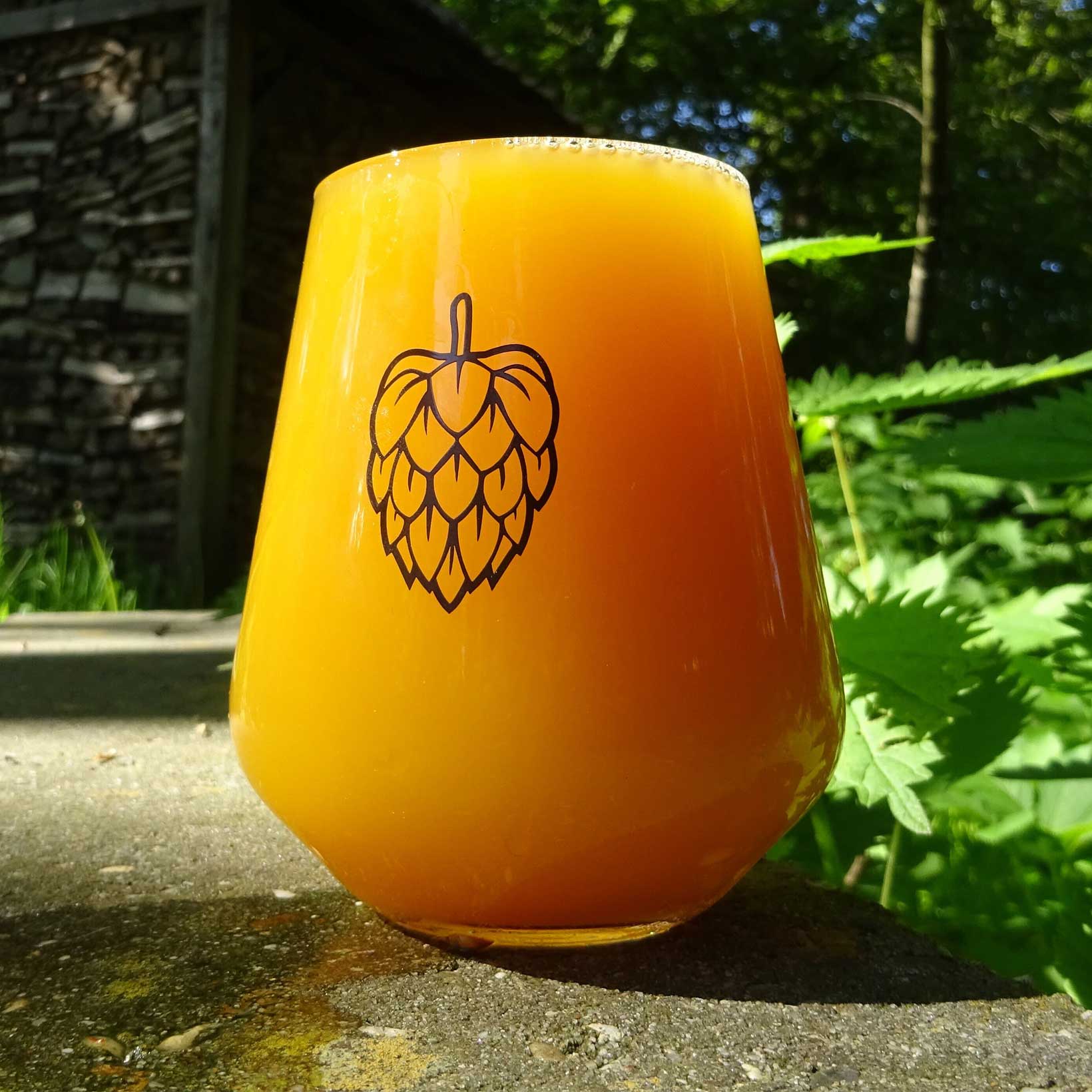 Tumbler Glass