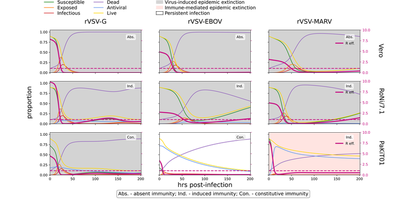 Results for the mean field model reproduced in Morpheus.